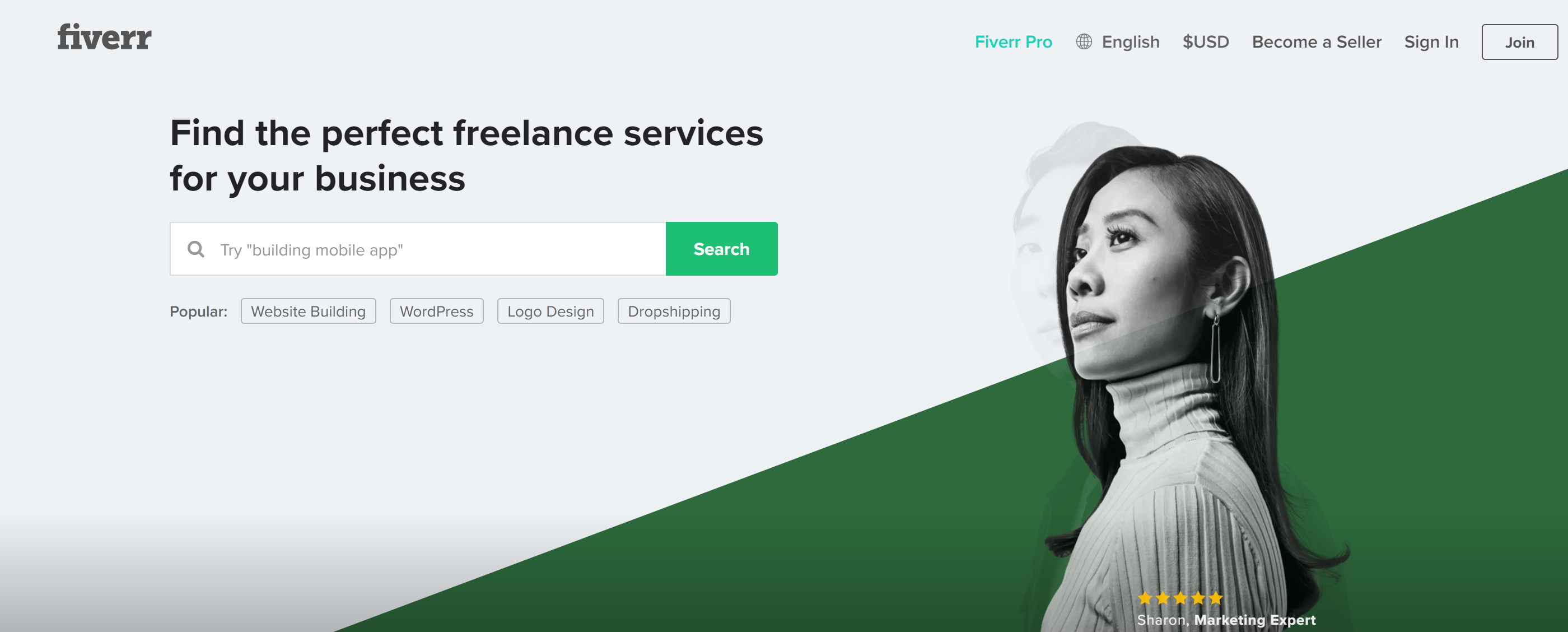 Fiverr Reviews Online