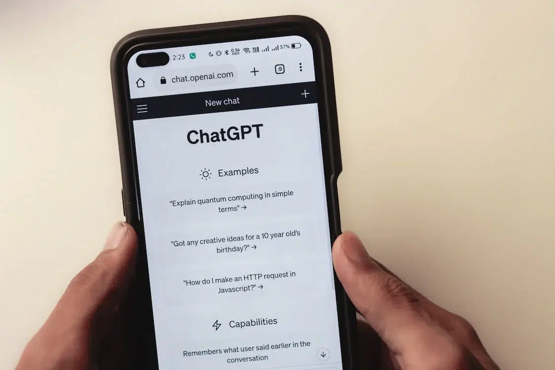 ChatGPT Examples