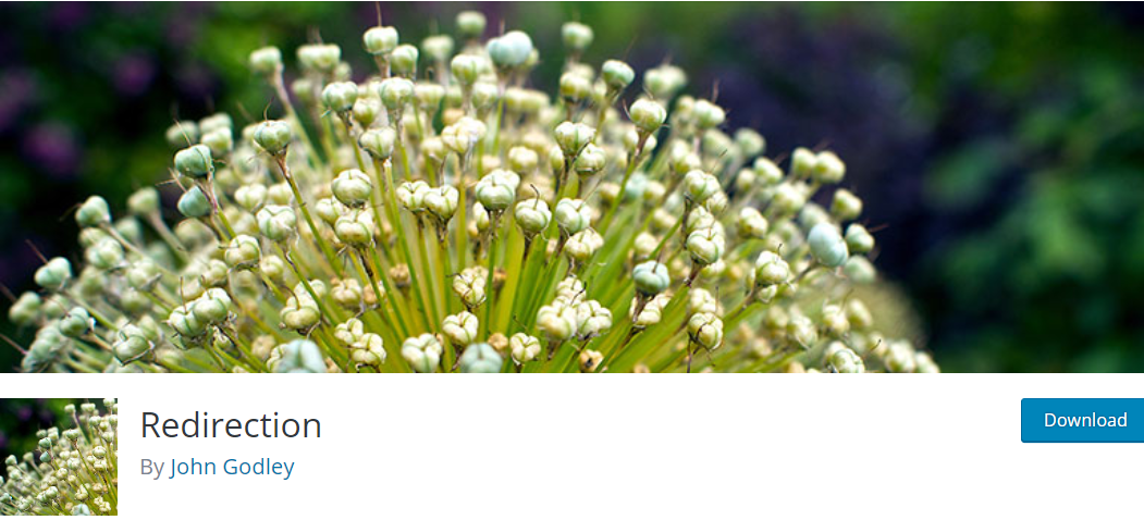 Create A Blog Easily- Redirection Plugin
