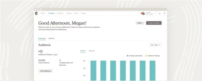 Mailchimp-Contact Profile