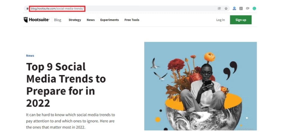 On-Page Vs Off-Page SEO- Optimize URLs