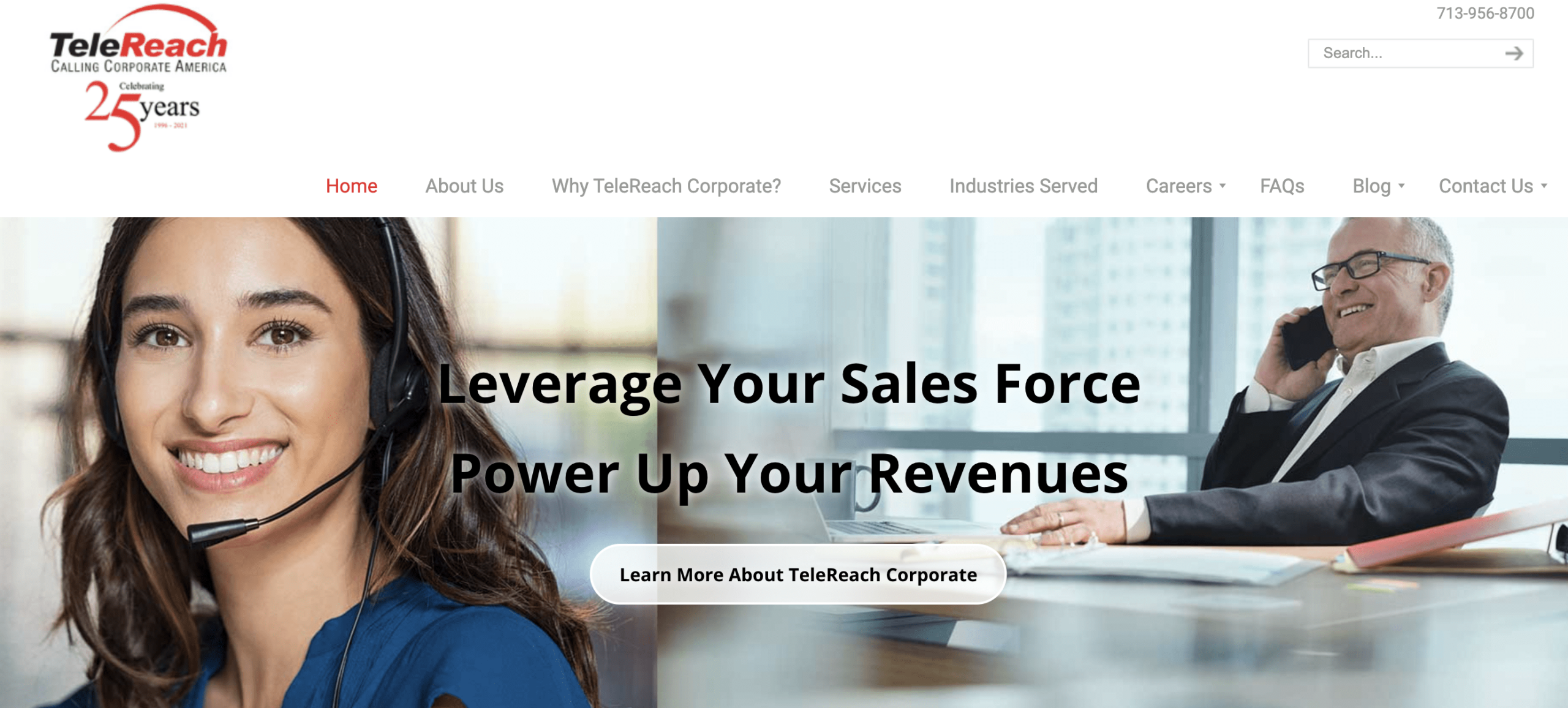 TeleReach: Best Online Jobs